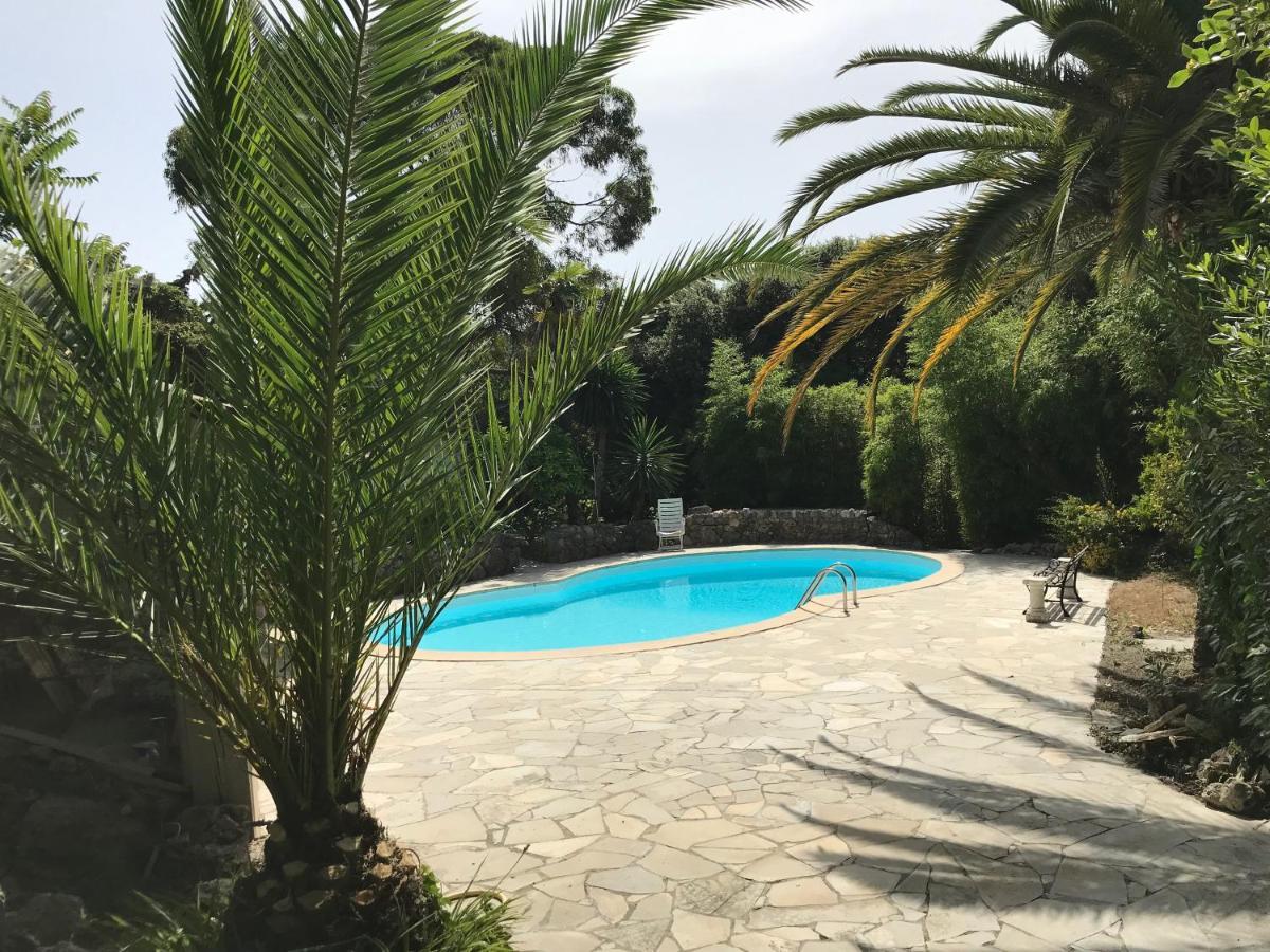Independent One Bedroom Apartment Antibes Exteriör bild